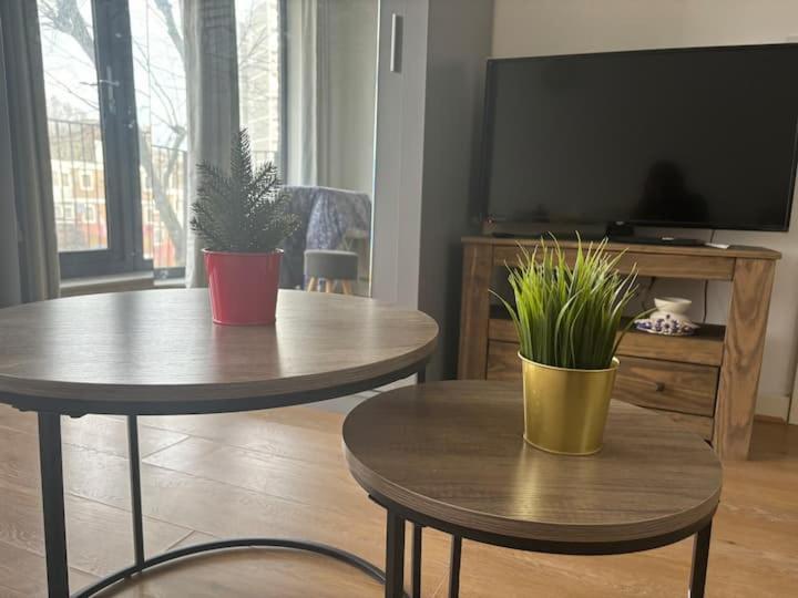 Cosy Near Greenwich Park Apartament Londra