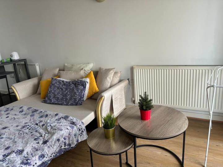 Cosy Near Greenwich Park Apartament